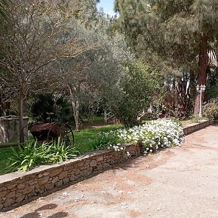 Hotel Garden Nuraminis Exterior photo